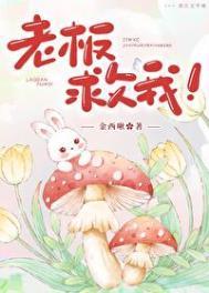 老板让我照顾受伤的老板娘