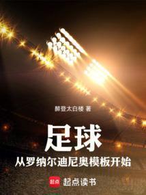 罗纳尔迪尼奥精彩进球视频