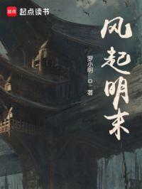 风起南明1784