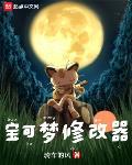 宝可梦内置修改器