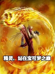 宝可梦攻略站