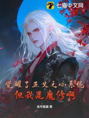正义之心免费阅读